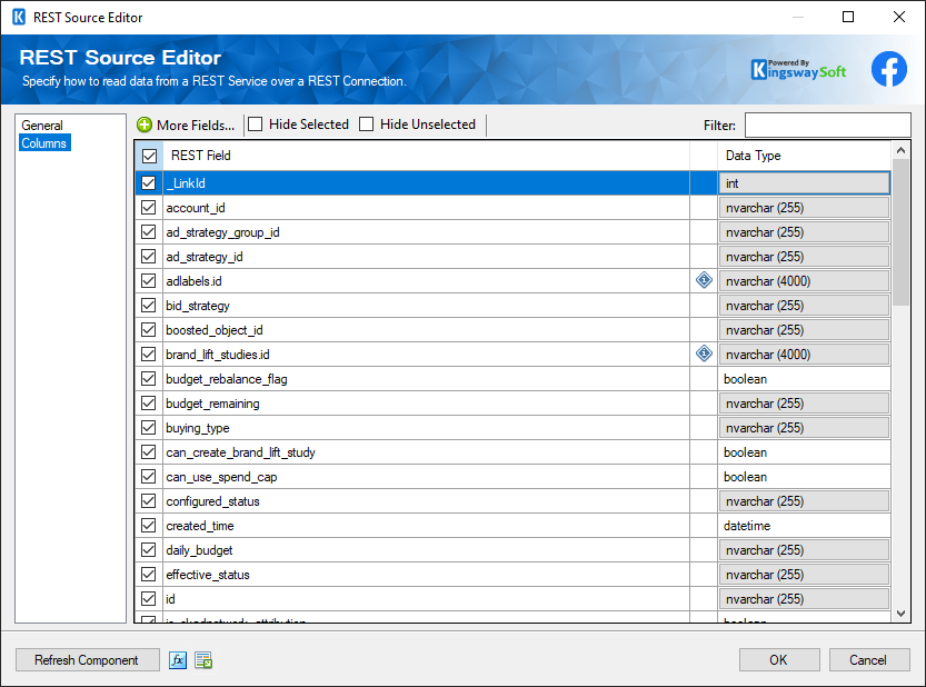 SSIS Facebook Business REST Source - Columns